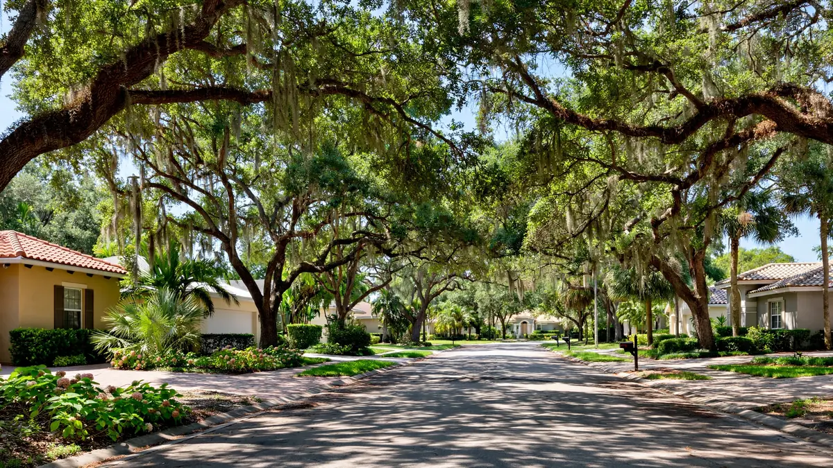 Oak-tree-lined street in Oakridge, Hollywood FL